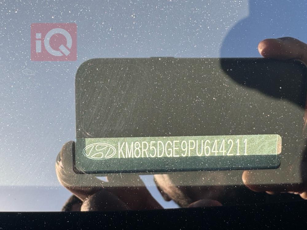 هيونداي باليسيد